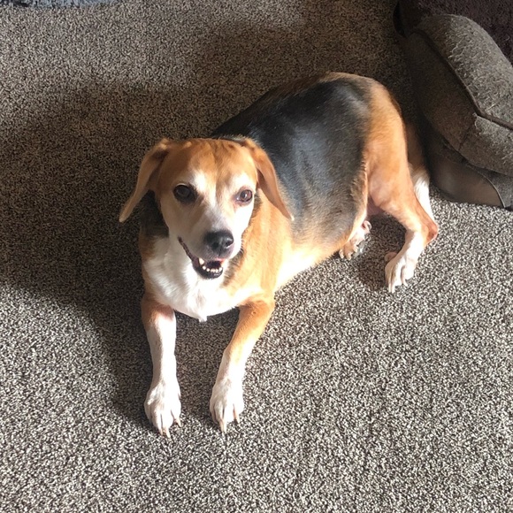 Meet your Posher, Brittney - Picture 10 of 15